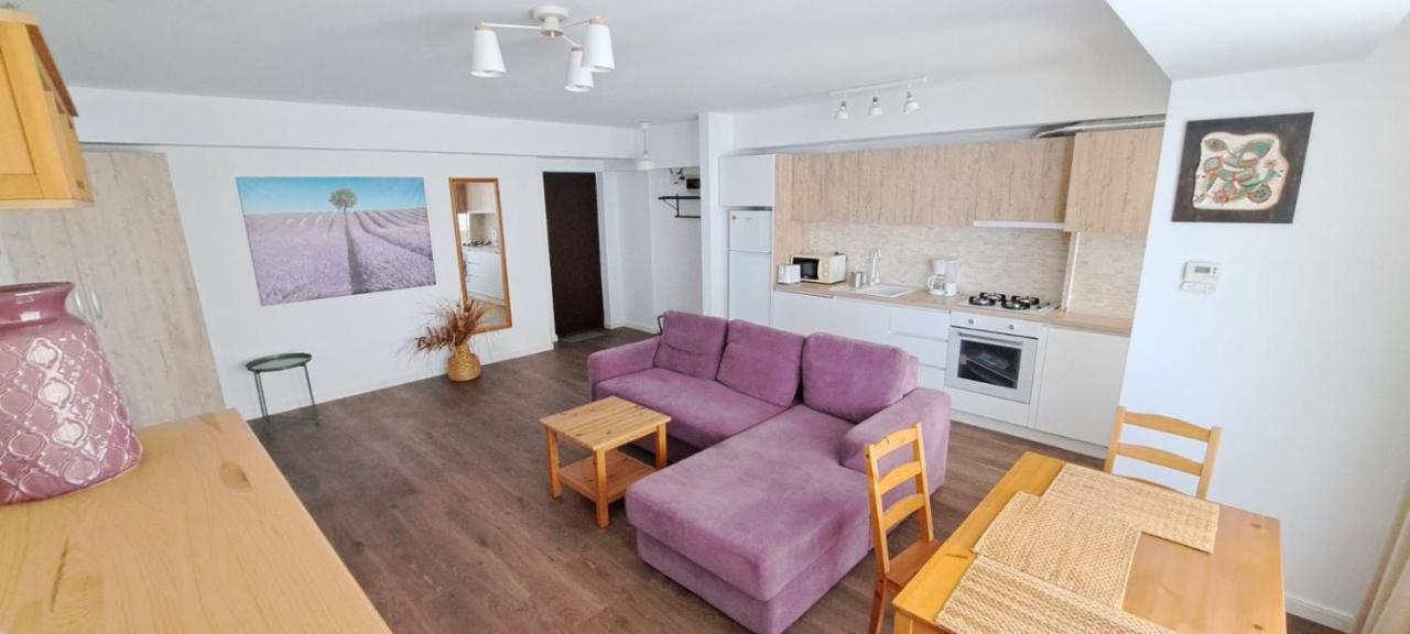 C&Y Zev Apartments 马马亚 外观 照片